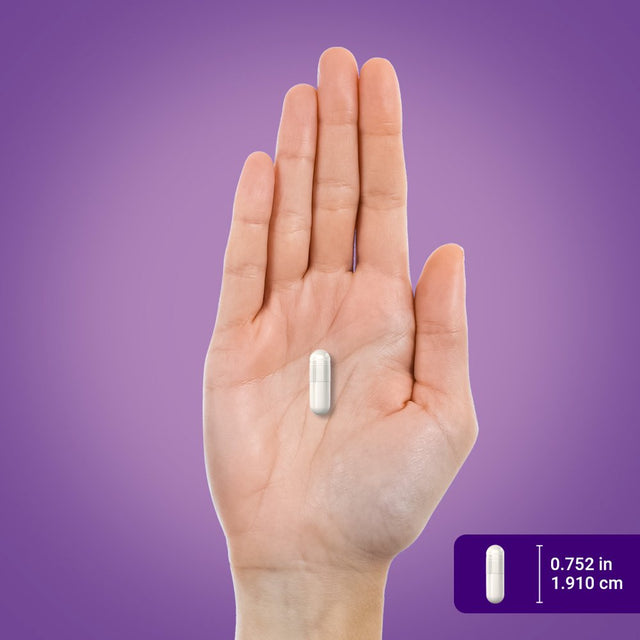 Probiotic Acidophilus 250 Million Active Organisms | 240 Capsules | by Piping Rock