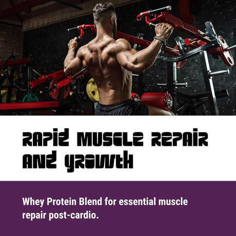 Heat Shock Protein: Revolutionary Thermogenic and Energy Booster for Enhanced Cardio Performance