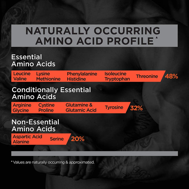 R1 Protein,76 Servings, Chocolate Fudge