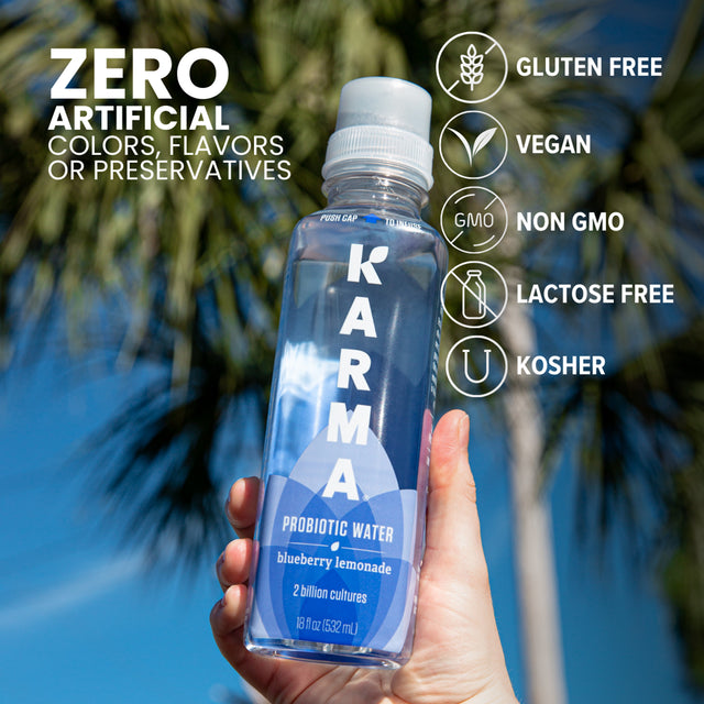 Karma Probiotic Water, Blueberry Lemonade, 18 Fl. Oz., 1 Count Bottle