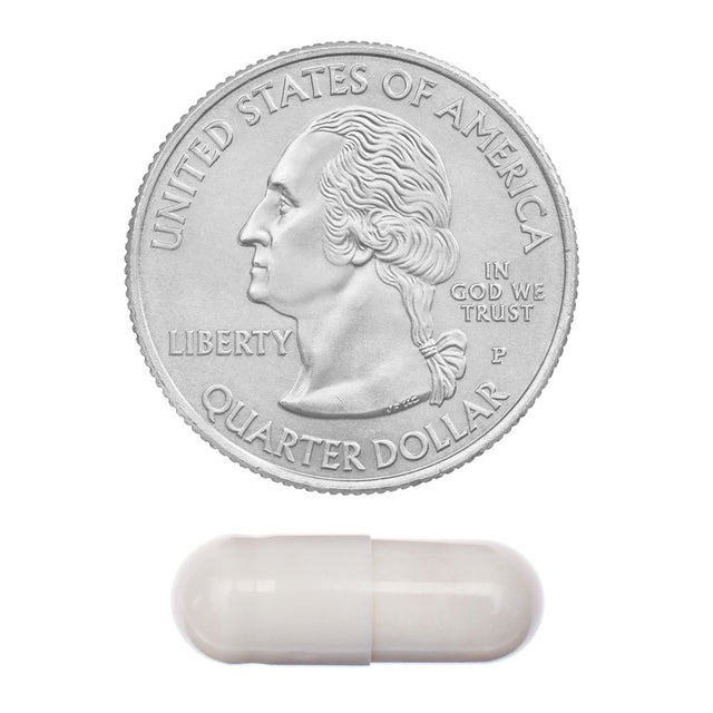 Spring Valley Daily Probiotic Vegetarian Capsules, 60 Count