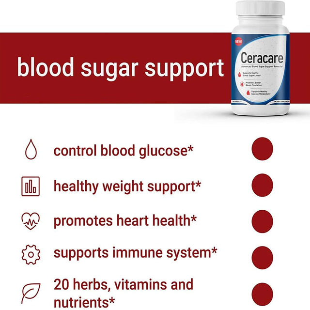 Ceracare - Advanced Blood Sugar Support Formula - Pills for Healthy Blood Sugar Levels - Promotes Better Blood Circulation and Healthy Glucose Metabolism - 360 Capsules (6 Pack)