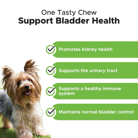 Bladder Health Cranberry (Bacon Flavor)