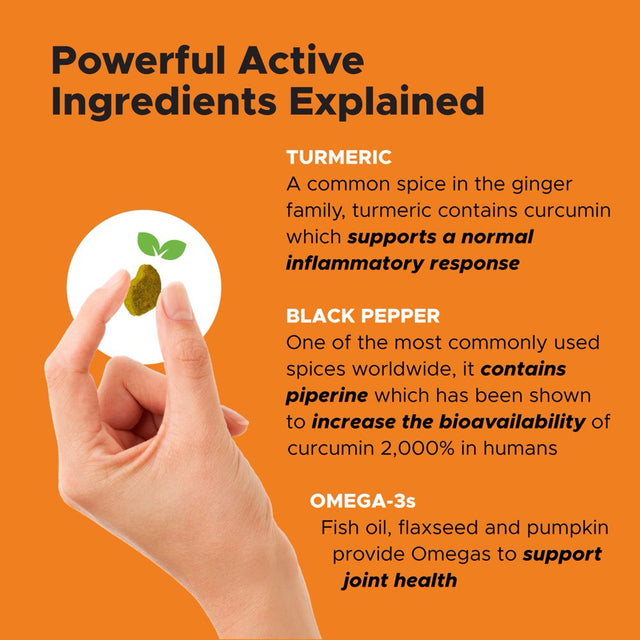 Pet Honesty Dog Hip + Joint Health Turmeric Chews, Pumpkin Coconut, 90 Ct