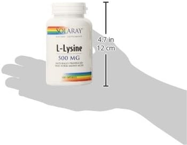SOLARAY L-Lysine 500Mg | Amino Acid | Healthy Cognitive, Immune System & GI Function, Bones, Joints & Skin Support | 120 Vegcaps