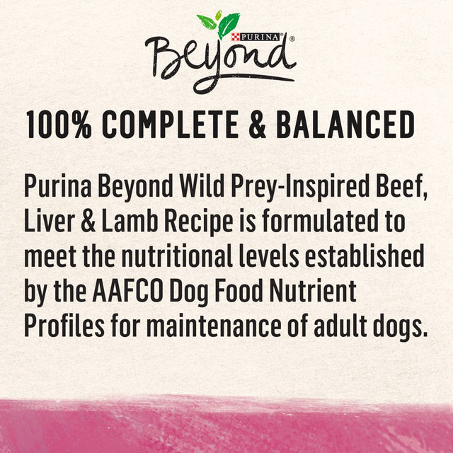 Purina beyond WILD Prey-Inspired Grain Free, High Protein Beef, Liver & Lamb Pate Recipe Wet Dog Food - (12) 13 Oz. Cans