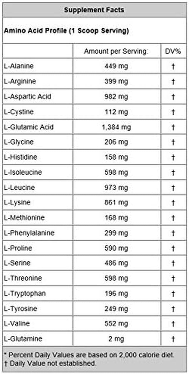 Lifesource Vitamins 1.1 Lb - US Dairy Cows Grass Fed Whey Protein Isolate - Double Chocolate Fudge Sweetened W/Stevia - Free Priority Shipping