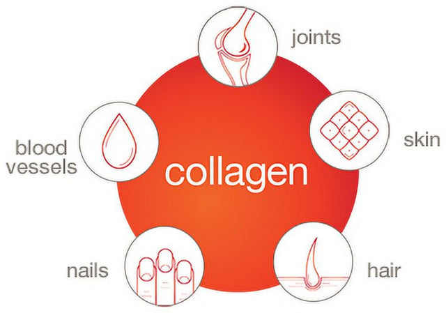 390 6000Mg of Hydrolyzed Collagen with Biotin Boost, for Skin, Hair, Nail, Aging, Teddons and Ligaments Formula Dietary Supplement Youtheory Enhanched Formula