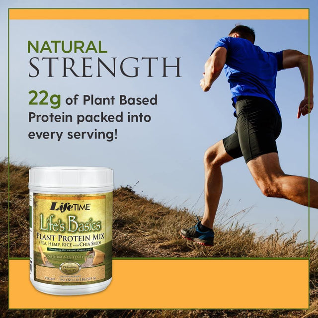 LIFETIME Lifes Basics Plant Based Protein Powder | Natural Vanilla, Vegan | Gluten Free, No Artificial Sweeteners, Flavors or Preservatives | 1.22Lb