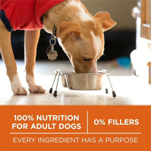 Purina One +Plus Dry Dog Food High Protein Healthy Weight, Real Turkey 16.5 Lb Bag