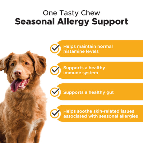 Allergy Support (Peanut Butter Flavor)
