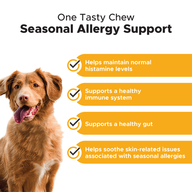 Allergy Support (Peanut Butter Flavor)