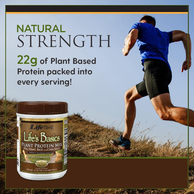 LIFETIME Lifes Basics Plant Based Protein Powder | Natural Chocolate, Vegan | No Gluten, Artificial Flavors, or Preservatives | 1.22Lb