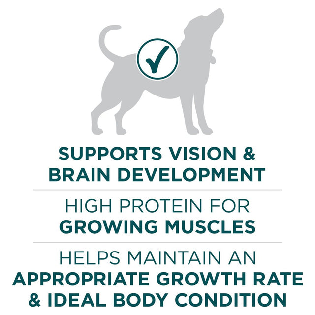 Purina One +Plus Puppy Dry Dog Food for Large Dogs High Protein, Real Chicken, 16.5 Lb Bag