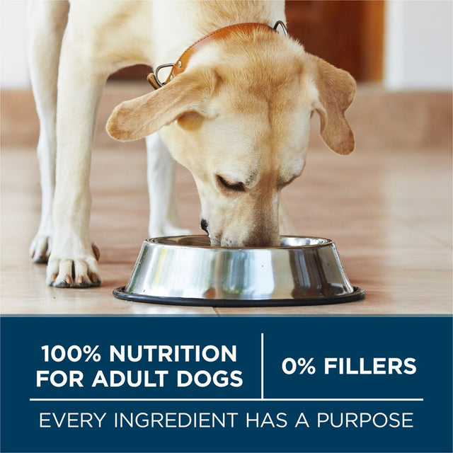 Purina ONE plus Dry Large Breed Dog Food for Adult Dogs, Real Protein Rich Natural Chicken Flavor, 40Lb Bag
