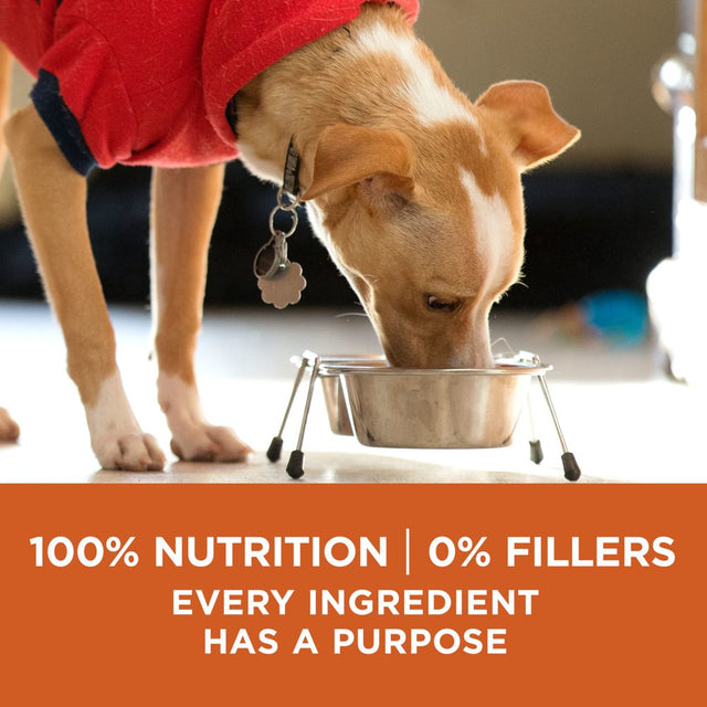 Purina One +Plus Dry Dog Food High Protein Healthy Weight, Real Turkey 16.5 Lb Bag