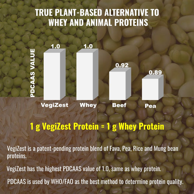 Plant Based Protein Powder Chocolate - Lactose & Dairy Free Protein Powder - Vegan Protein Shake Meal Replacement with Fava, Mung, Rice & Pea Protein, Low Carb, Keto, Sugar & Gluten Free, 21G