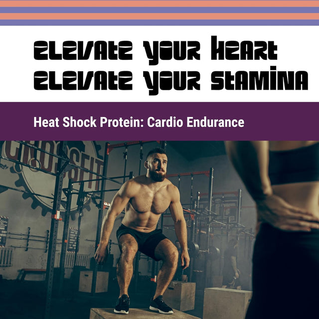 Heat Shock Protein: Revolutionary Thermogenic and Energy Booster for Enhanced Cardio Performance