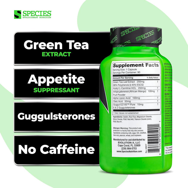 Lipolyze Stimulant Free Fat Burner, Appetite Suppressant with Green Tea Extract, African Mango & Alpha Lipoic Acid, Advanced Fat Loss Formula, Gluten Free Caps, Daytime, 90 Count