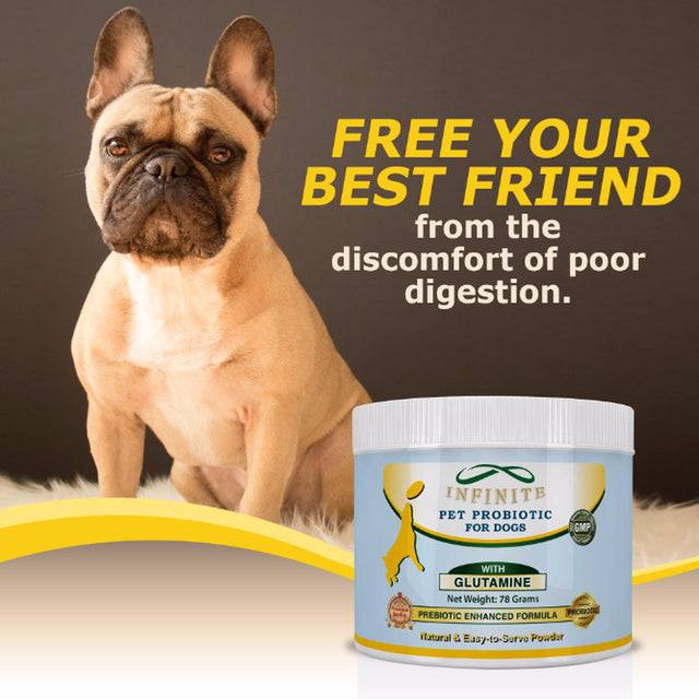 Infinite Pet Essential Probiotic for Dogs, 60 Servings