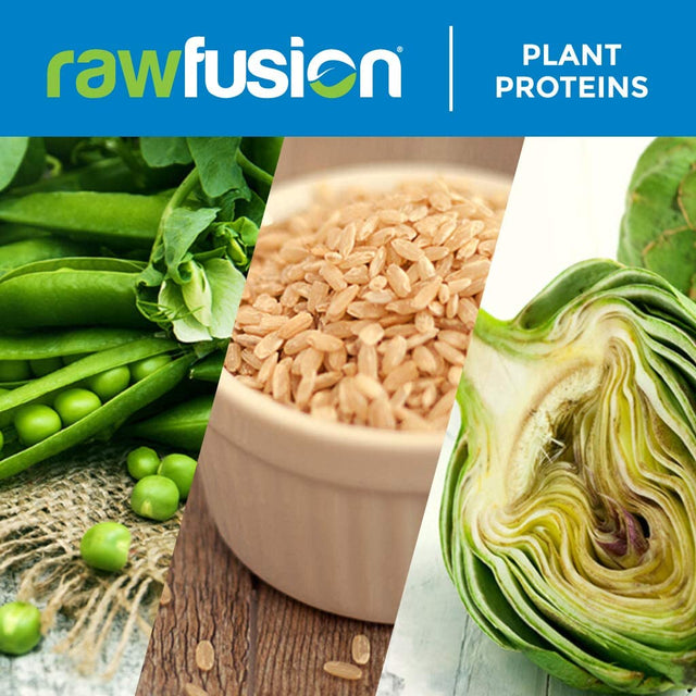 Rawfusion- Vegan Protein Powder, Vanilla Bean - 21G of Plant Based Protein, Low Net Carbs, Non Dairy, Gluten/Lactose Free, Soy Free, Kosher, Non-Gmo, 1Lb Pound