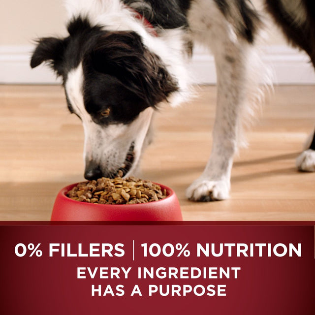 Purina ONE Grain Free, Natural, High Protein Dry Dog Food, Smartblend True Instinct Real Chicken, 12.5 Lb. Bag