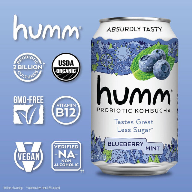 Probiotic Kombucha Best Sellers Variety 12 Pack - Organic, 2 Billion Probiotics for Gut Health - Mango Passionfruit, Blueberry Mint and Strawberry Lemonade