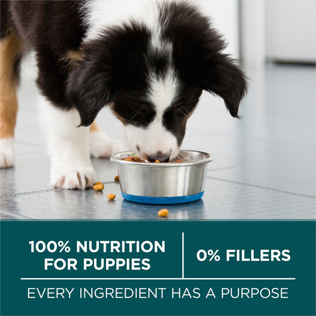 Purina One +Plus Puppy Dry Dog Food for Large Dogs High Protein, Real Chicken, 16.5 Lb Bag