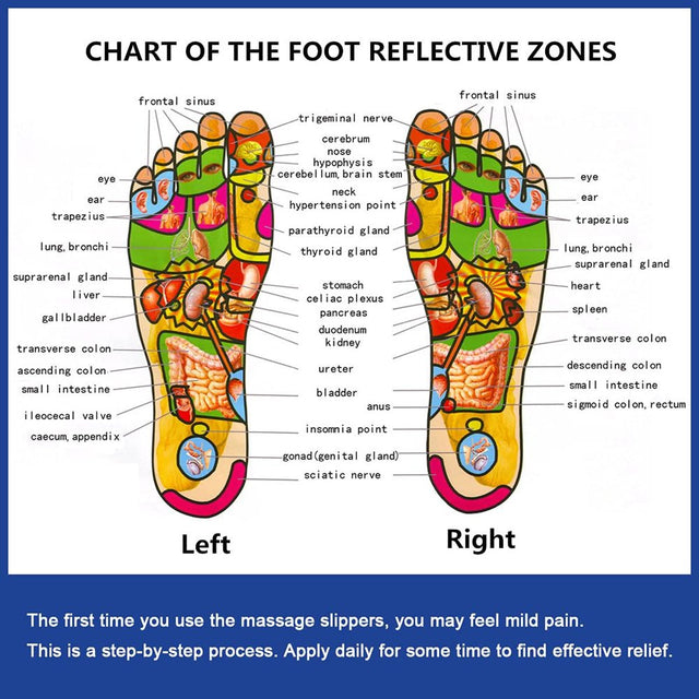 Magnet Therapy Foot Massager Shoes Blood Activating Health Care Massage Slippers, Foot Massager Shoes, Health Care Massage Slippers, Relieve Heel Arch Arthritis Neuropathy Pain