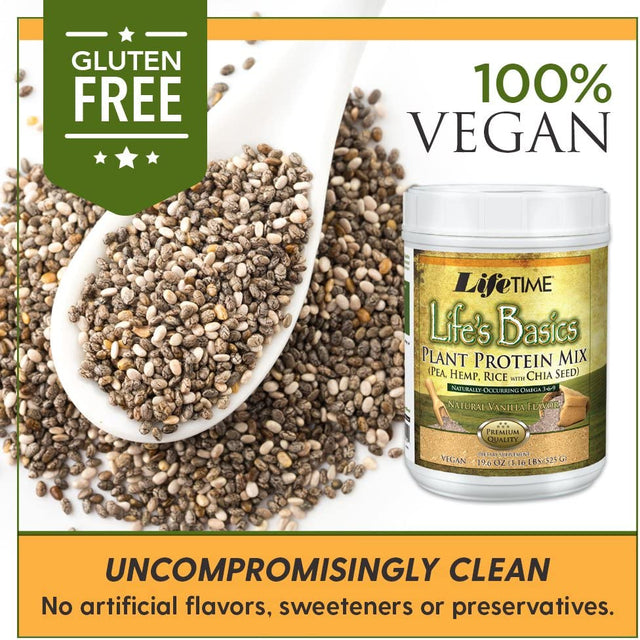 LIFETIME Lifes Basics Plant Based Protein Powder | Natural Vanilla, Vegan | Gluten Free, No Artificial Sweeteners, Flavors or Preservatives | 1.22Lb