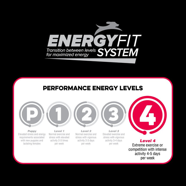 Native Performance Dog Food Level 4 Chicken Meal and Rice Formula 40Lbs
