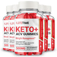 Lifetime ACV Gummies, Lifetime Keto ACV Gummies Lifetime Gummies Weight Loss Supplement, Powerful Formula, Belly Fat Maximum Strength (5 Pack)