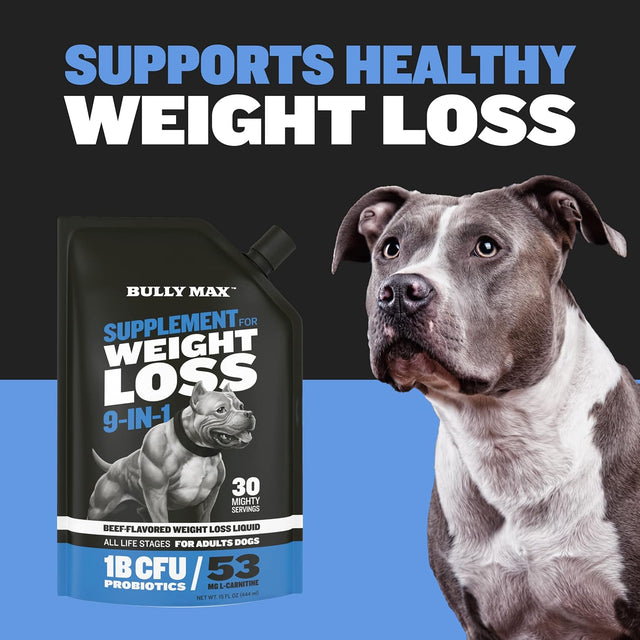 Supplement for Weight Loss 9-In-1 - Liquid Supplement for Adult Dogs Any Breed, Contains Vitamins, Protein, Garcinia Cambogia & L-Carnitine, for Dogs 12 Mos and Up, Beef-Flavored, 15-Fl. Oz.