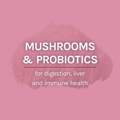 Host Defense, Mycobotanicals Microbiome Powder, Digestive Support with Probiotics and Superfood Mushroom Mycelium, 3.5 Oz
