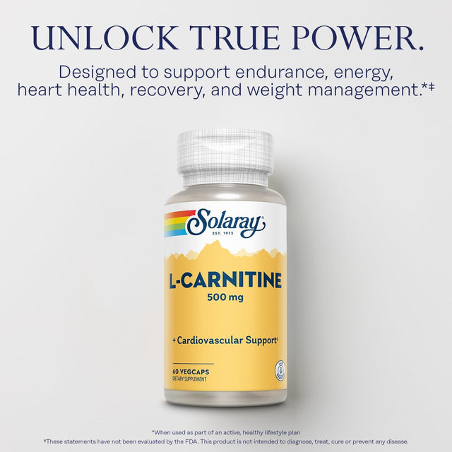 SOLARAY L-Carnitine 500 Mg, Healthy Cardiovascular Support, Free Form Amino Acid, Lab Verified, GMP Facility, 60-Day Money-Back Guarantee, 60 Servings, 60 Vegcaps