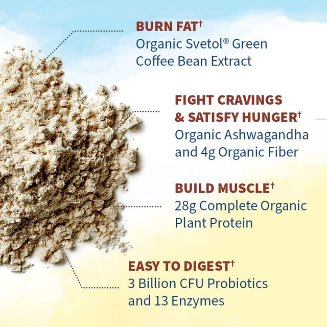 Garden of Life Raw Organic Fit Vegan Protein Powder Coffee, 28G Plant Based Protein for Weight Loss, Pea Protein, Fiber, Probiotics, Dairy Free Nutritional Shake for Women and Men, 10 Servings
