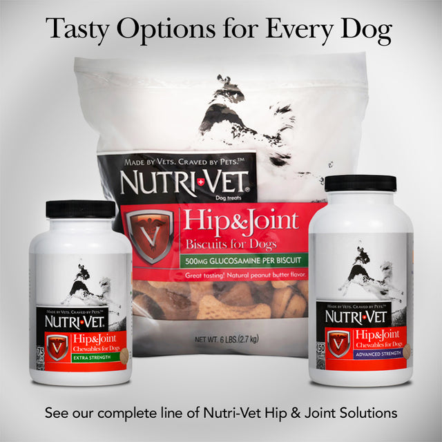 Nutri-Vet Hip & Joint Extra Strength Chewables for Dogs, 120 Count