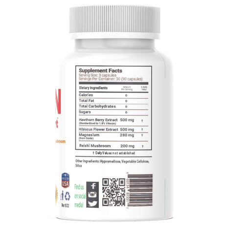 Perfusion Blood Pressure and Circulatory Support