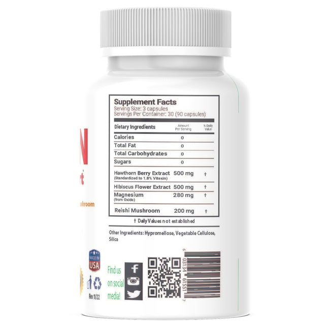 Perfusion Blood Pressure and Circulatory Support