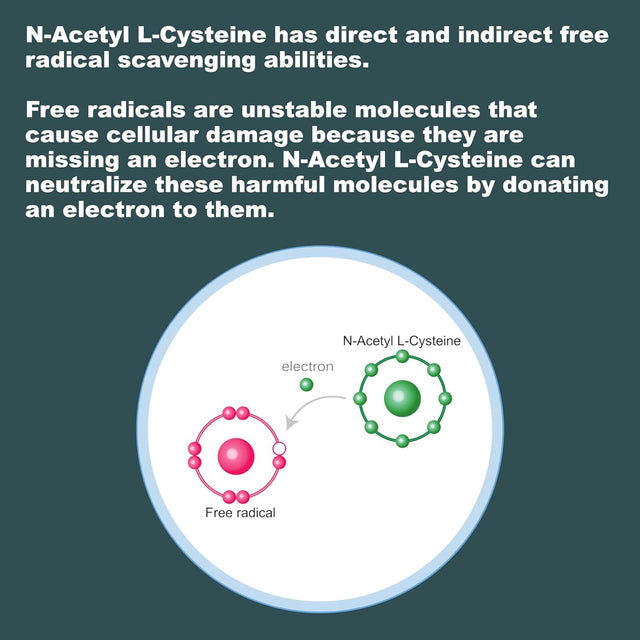 Lifelink NAC (N-Acetyl L-Cysteine) | 600 Mg X 120 Capsules | Antioxidant, Anti-Aging, Immunity | Gluten Free & Non-Gmo | Made in the USA