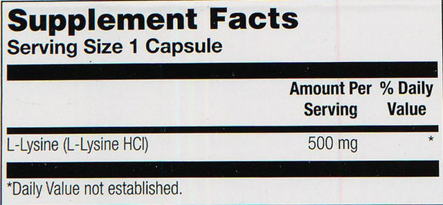 SOLARAY L-Lysine 500Mg | Amino Acid | Healthy Cognitive, Immune System & GI Function, Bones, Joints & Skin Support | 120 Vegcaps