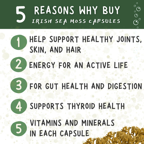 Healblend Organic Irish Moss, Bladderwrack, Burdock, & Bioperine - 1405Mg with Black Pepper - Natural Wellness and Detox Support Supplement - 60 Capsules 3-Pack