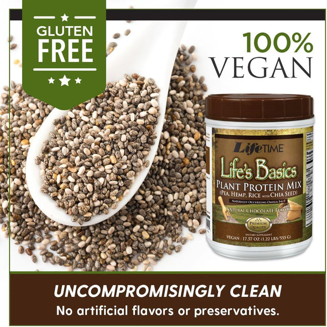 LIFETIME Lifes Basics Plant Based Protein Powder | Natural Chocolate, Vegan | No Gluten, Artificial Flavors, or Preservatives | 1.22Lb