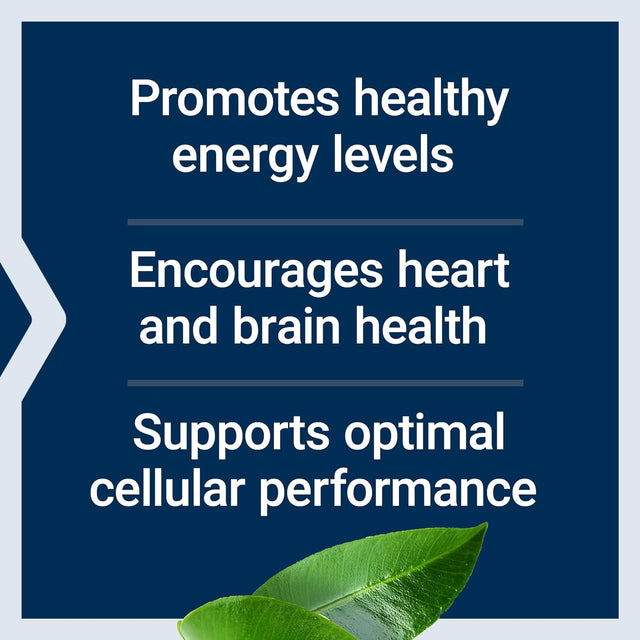 Life Extension L-Carnitine – 500 Mg, Energy Supplement, Memory Supplement – Free Form Amino Acid, Nitric Oxide Support, Healthy Blood Pressure – Gluten-Free, Non-Gmo, Vegetarian – 30 Capsules
