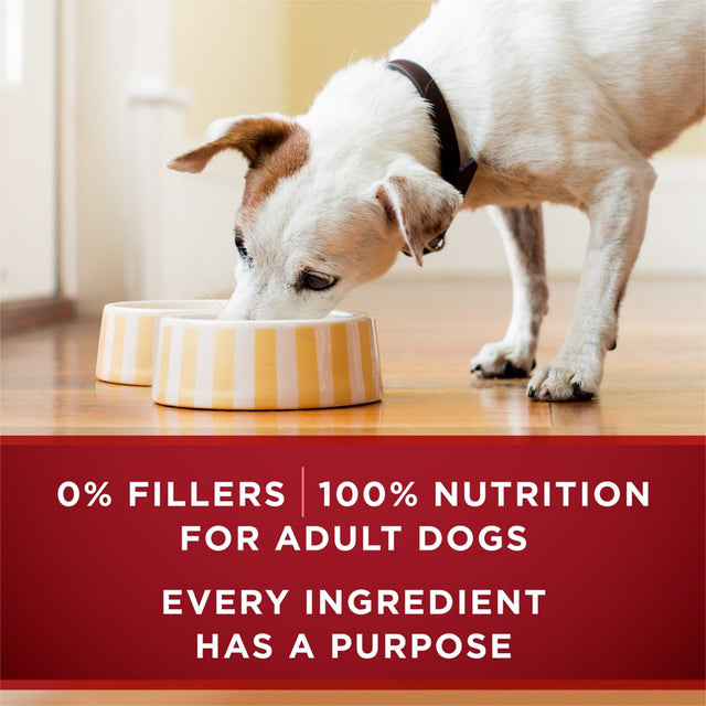 Purina One True Instinct Wet Dog Food High Protein Tender Cuts in Gravy, Real Turkey & Venison, 13 Oz Can