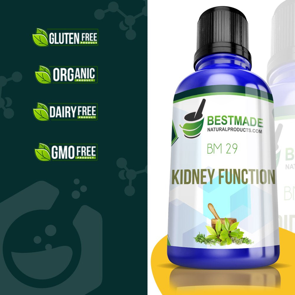 Bm29 Bestmade BM29 Kidney Support - Natural Supplement