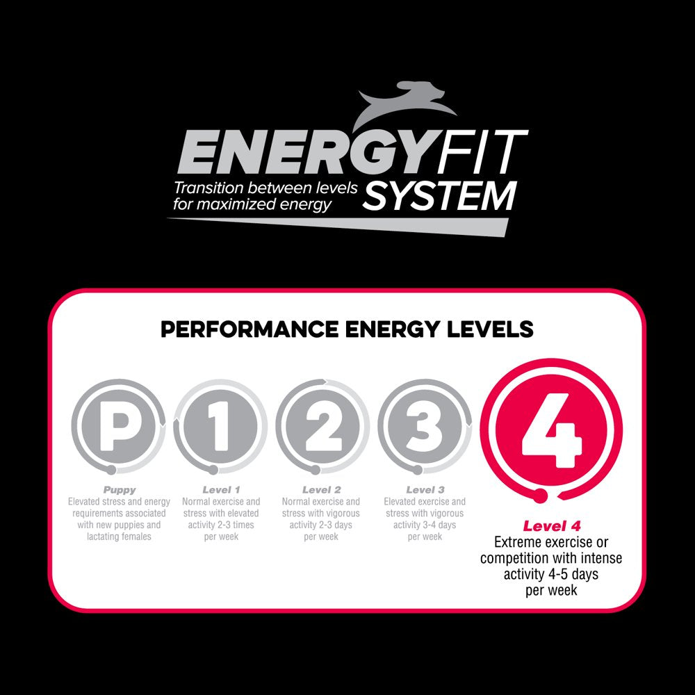 Native Performance Dog Food Level 4 Chicken Meal and Rice Formula 40Lbs ...
