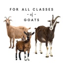 manna-pro-goat-mineral-supplement-for-all-classes-of-goats-8-lbs-03-896e829ca2ee56039cb2add3f9b44d88.jpg
