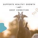 manna-pro-goat-mineral-supplement-for-all-classes-of-goats-8-lbs-04-14d19e9750d512d7a6e0edc6bb67367b.jpg
