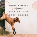 manna-pro-goat-mineral-supplement-for-all-classes-of-goats-8-lbs-06-bc28722637aa402fb1bdcc780ce9f473.jpg